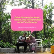 Temukan keakraban bersama berbagai macam satwa di dalamnya. Kebun Binatang Surabaya Tempat Yang Instagramable Untuk Foto Keluarga