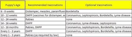 what is the puppy vaccination shots schedule and guidelines