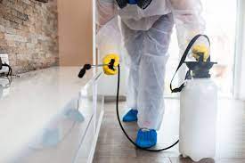 The only thing worse than finding out you have termites is thinking about how much the treatment will cost. Arrow Exterminators Review 2021 This Old House