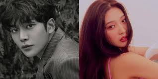 SF9's Rowoon and Red Velvet's Joy will be