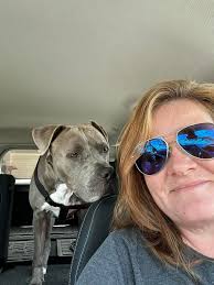 ADOPTED** Carly is ready for Santa to bring her a forever family! Carly is  a 40lb, 1.5 year old pyr/heeler mix that was rescued in TN from people  actively shooting at her