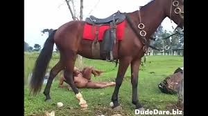 Cowboys fucking outdoors after a thrilling horse ride - XNXX.COM
