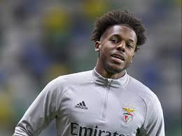 Nuno tavares fm 2020 scouting profile. Uv3vafqu88xedm