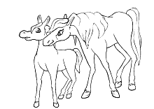 Pferde ausmalbilder mit fohlen ausmalbild kleine fohlen mit einem schmetterling. Ausmalbilder Pferde Und Ponys Stute Fohlen Und Esel