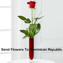 We did not find results for: Send Love Flowers To Mexico Send Love Gifts To Mexico
