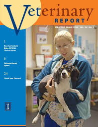 Veterinary clinics & hospitals veterinarians. Report University Of Illinois College Of Veterinary Medicine