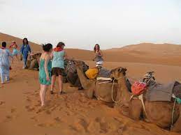 Find the reviews and ratings to know better. Tour Deserto Merzouga Con Radoin Saharaexpeditions Tour Picture Of Merzouga Draa Tafilalet Tripadvisor