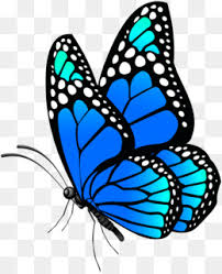 124,136 butterfly clip art images on gograph. Blue Morpho Png Blue Morpho Venture Bros Giant Blue Morpho Butterfly Blue Morpho Caterpillar Blue Morpho Wings Closed Blue Morpho Butterfly Life Cycle Blue Morpho Butterfly Tattoo Blue Morpho Butterfly Diet Blue Morpho Butterfly Habitat Blue Morpho