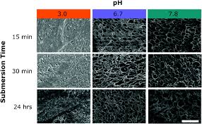 Collection of most popular forms in a given sphere. Effects Of Sea Water Ph On Marine Mussel Plaque Maturation Soft Matter Rsc Publishing