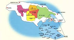 Check spelling or type a new query. ã‚³ãƒ¼ãƒ'ãƒ¼ã®çŽ‹æ§˜ ãƒ–ãƒ«ãƒ¼ãƒžã‚¦ãƒ³ãƒ†ãƒ³ æ ½åŸ¹æ–¹æ³•ã‚„ç¾Žå'³ã—ã„é£²ã¿æ–¹ã‚'ç´¹ä»‹