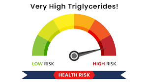 What Triglycerides High Means: Cause ...