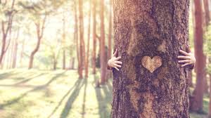 Und nutzen die preisdynamik sowie die marktliberalisierung, um sich teure strompreise einfach nicht mehr gefallen zu lassen. Stromanbieter Wechseln Und Mit Okostrom Sparen