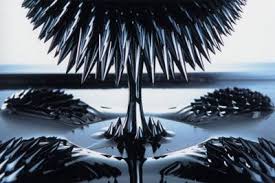 Ferrofluid A Magnetic Liquid Slipperybrick Com Ferrofluid Ferrofluid Art Fluid Art