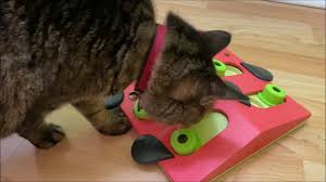 Food goes in the cylinder and is released through the hole one kibble at a time as your cat rolls and engages the toy. Wet Food Puzzles Food Puzzles For Cats