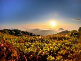 Advocacy Today — Friends of Baxter State Park