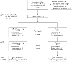 The Effect Of Montelukast On Respiratory Symptoms And Lung