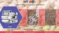AMD® AI Optical Sortex P-LGS4 Tree Nuts Color Sorter Machine for Pistachio Shells Sorting/Processing