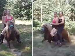 Web cam girls who rode pony for sex fetish video probed over cruelty  claims - Daily Star