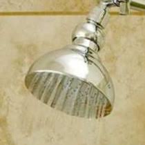 Spray patterns can instantly elevate your shower experience by distributing water in various ways to create new sensations. Danze Shower Head Rainshower Shower Heads Great Pressure