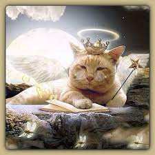 Orange Tabby Angel Cat Heaven Angel Cat Cats