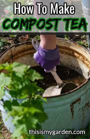 How To Make Compost Tea The Perfect Organic Fertilizer Compost Tea Homemade Plant Fertilizer How To Make Compost