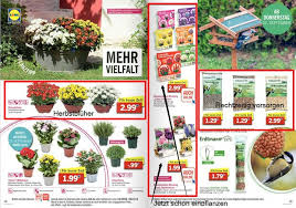 Lidl ist nicht ohne grund eines der größten und beliebtesten einzelhandelsketten des landes. Gunstige Gartenprodukte Vom Discounter Lidl Onlineshop Unter Die Lupe Genommen