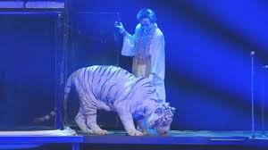 An ambitious indian driver uses his wit and cunning to escape from poverty and rise to the top. Surgeon Who Treated Roy Horn Of Siegfried And Roy After Tiger Incident Says He Actually Flatlined We Lost Vital Signs Abc News