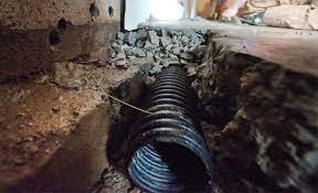 A french drain removes water from a basement by collecting moisture in a shallow trench, pulling it into a perforated pipe, and expelling it to a basin and sump pump. Installing French Drains In A Basement D Bug Waterproofing