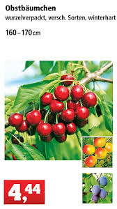 Thomas Philipps Sonderposten Onlineshop In 2020 Online Shop Wurzel Online