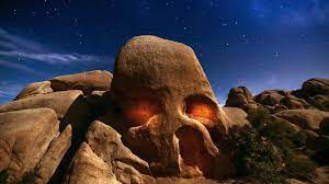 Check spelling or type a new query. Usa California Joshua Tree Hd Wallpaper 1920x1080 Wallpaper