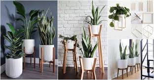 Pokok hiasan dalam rumah bukan sekadar nak buat rumah anda nampak cantik, malah boleh membantu peredaran udara juga. Cara Diy Stand Kayu Untuk Letak Pasu Pokok Hiasan Mudah Serius Lawa Ilham Dekorasi