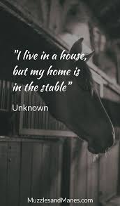 I Live In A House But My Home Is In The Stable Equitationquotes Home House Live Stabl Horse Quotes Horse Riding Quotes Inspirational Horse Quotes