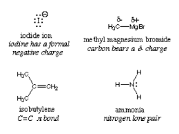 Difference Between Electrophile And Nucleophile Difference