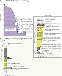 Stratigraphic Columns For A Qt 6 At Bird Rock And B Qt 5