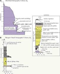 stratigraphic columns for a qt 6 at bird rock and b qt 5