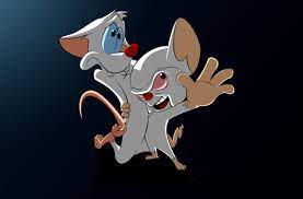 Great for windows, linux, android, macos operating systems. 27 Pinky And The Brain Wallpapers On Wallpapersafari