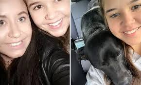 Hollie Snell's Instagram, Twitter & Facebook