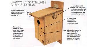 If you don't have any ducks using your box over the. Plans To Build A Wood Duck Box Wood Plans Toy Storage