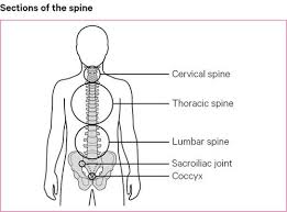 Python break statement is used to get out of the loops. Back Pain Causes Exercises Treatments Versus Arthritis