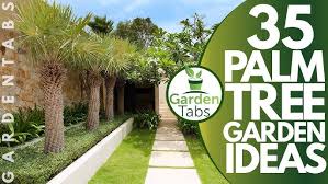 Schau dir angebote von ‪landscapes‬ auf ebay an. 35 Palm Tree Garden Ideas Youtube