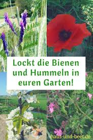 Lockt Die Bienen Und Hummeln In Euren Garten Haus Und Beet Pflanzen Hummeln Garten Pflanzen