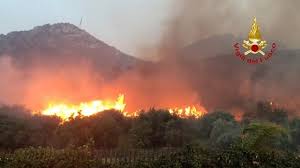 1 day ago · an olive tree burns as fires have been raging through the countryside in cuglieri, near oristano, sardinia, italy, sunday, july 25, 2021. Sardinia On Alert For Forest Fires After Deadly Summer Across Europe The Local