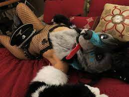 female fursuit porn | MOTHERLESS.COM ™