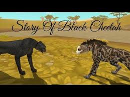 Story Of Black Cheetah Wildcraft Youtube Wolf Pictures Lion Wallpaper Line Artist