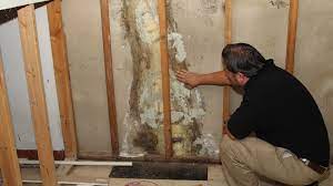 Free estimates · convenient financing · innovative technology Home Inspector Services Mold Radon Testing Chicago