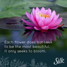 Each Our Does Not Seek To Be The Most Beautiful It Only Seeks To Bloom Let S All Try To Find Our Own Lotus Flower Meaning Lotus Flower Quote Flower Meanings