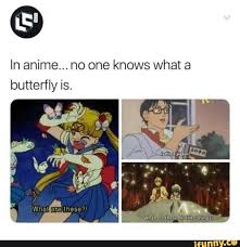 Ln Anime No One Knows What A Butterfly Is Ifunny Anime Memes Funny Funny Christian Memes Fandom Funny