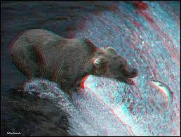 2d To 3d Conversion Black Bear Red And Blue 3d Pictures