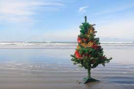 Check spelling or type a new query. Christmas Tree On The Sea Beach Christmas Vacation Concept Stock Photo Image Of Landscape Egipt 35363622