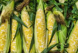 Corn